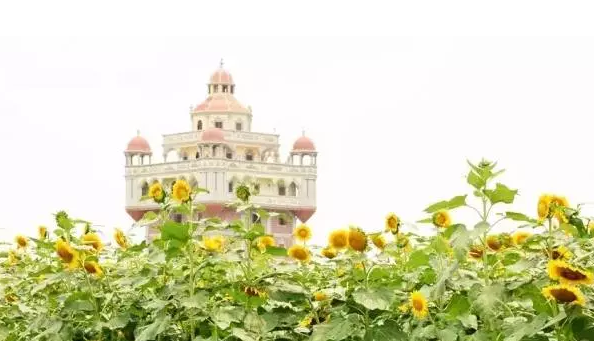 北海旅游，广西北海旅行社