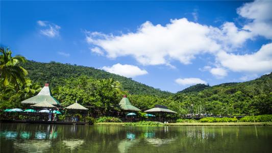 呀诺达雨林文化旅游区1.jpg